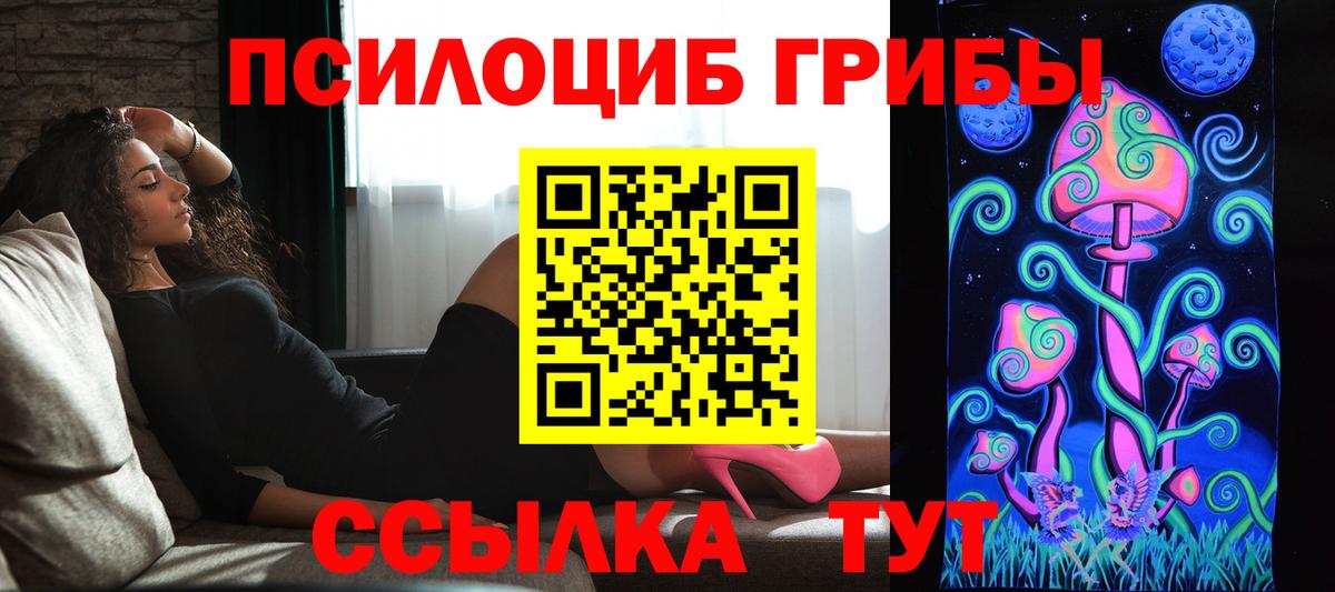 Псилоцибиновые грибы Psilocybe Калач-на-Дону