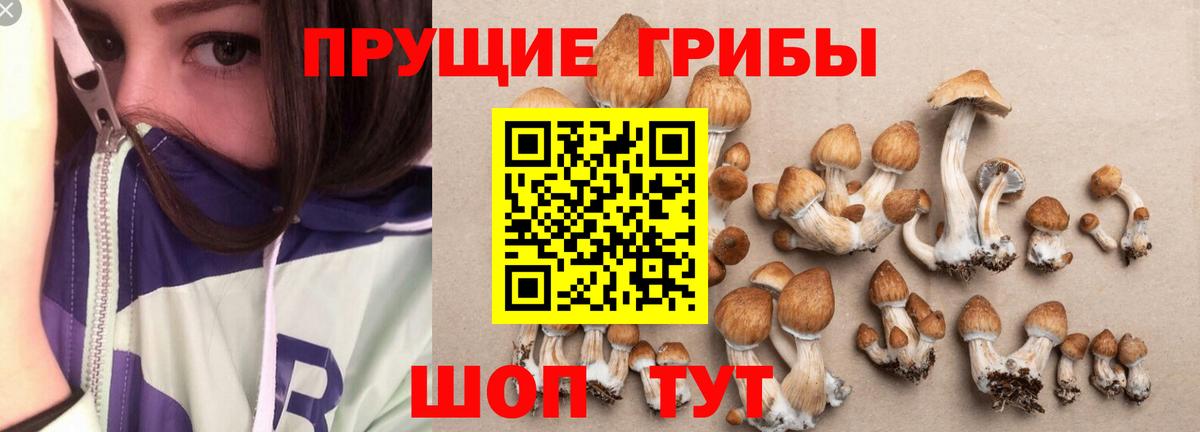 Калач-на-Дону  Псилоцибиновые грибы ЛСД  Вход с VPN 